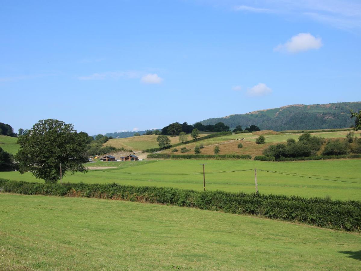 Вілла Meadow View Meifod Екстер'єр фото